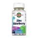 Цинк / Zinc Elderberry 5mg - 90 tabs Berry 2023-10-2158 фото 1