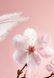Натуральний дезодорант Rituals The Rituals Of Sakura 75 мл 987654390 фото 2