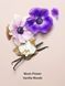 Лосьон для тела Victoria's Secret Midnight Bloom 236 мл 30642598 фото 4