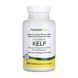Йод / Kelp - 300 tabs 2023-10-2363 фото 1