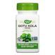 Адаптогены / Gotu Kola Herb - 100 vcaps 2022-10-1082 фото 1