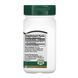 Адаптогены / Ginkgo Biloba Extract - 60 vcaps 100-70-0455094-20 фото 2