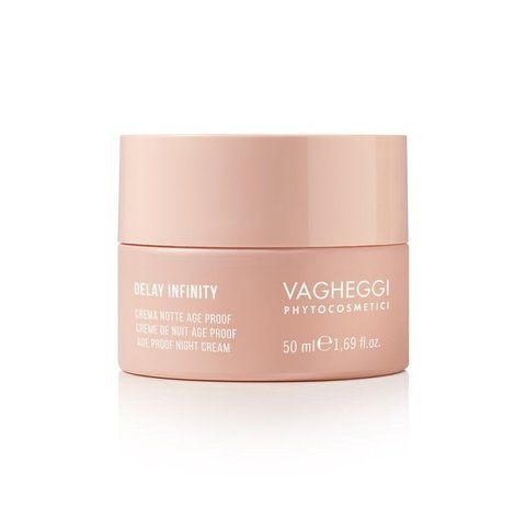 Нічний крем для обличчя VAGHEGGI DELAY INFINITY AGE PROOF NIGHT CREAM 50ml 120131 фото