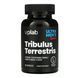 Бустер тестостерона / Tribulus Terrestris - 90 caps 2022-10-0281 фото 1