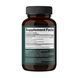 Адаптогены / Reishi Mushroom 1000 mg - 60 vegcaps 2023-10-4389 фото 2