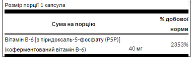 Витамин B5 (Пантотеновая кислота) / P-5-P 40mg - 60caps 100-37-6227411-20 фото